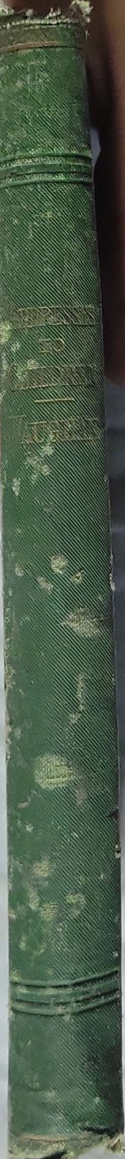 Addresses to Children (1876): Delivered in Christ Church, Brighton on Sunday afternoons in 1872-3; Accurately Transcribed from Shorthand Notes By Rev. James Vaughan, M.A.