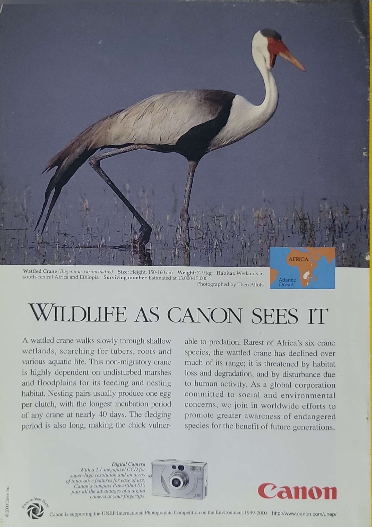 National Geographic (January 2000): Celebrations of Earth and Beyond (January 2000 issue)