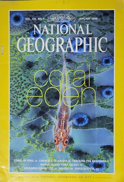 National Geographic (1999): Vol. 195, No. 1 — January 1999 By David Doubilet and Douglas H. Chadwick and Don Belt and Jesús Rivas and Greg Child and George E. Stuart and A. R. Williams