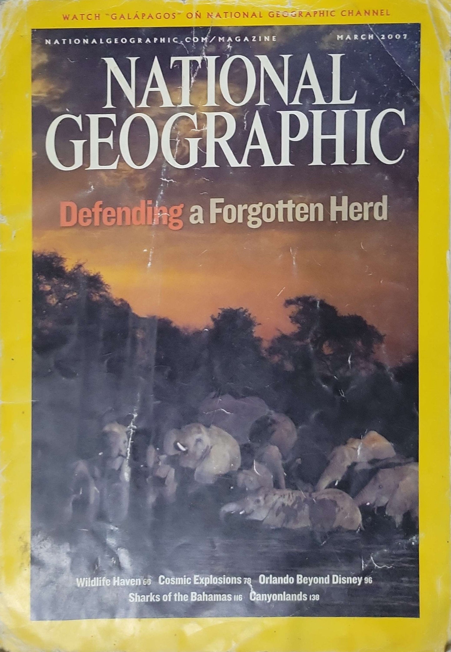 National Geographic (2007): March 2007 issue