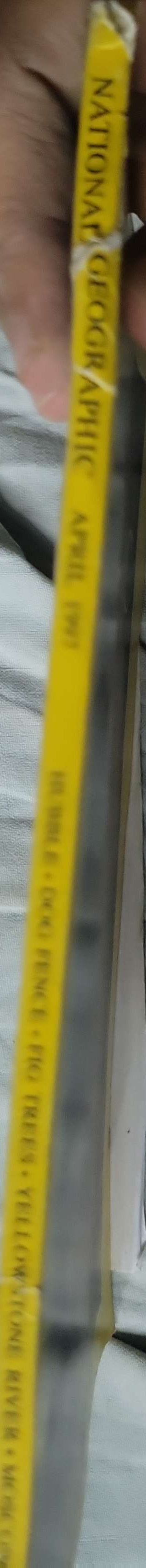 National Geographic (1997): Vol. 191, No. 4 — April 1997