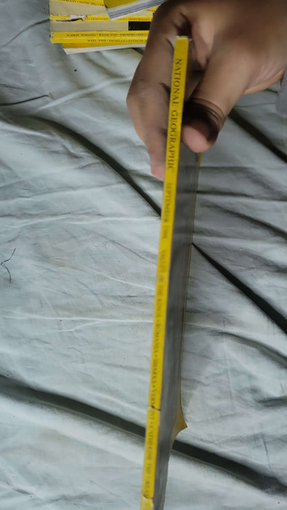 National Geographic (1998): Volume 194, No. 3 — September 1998 By National Geographic Society and William L. Allen