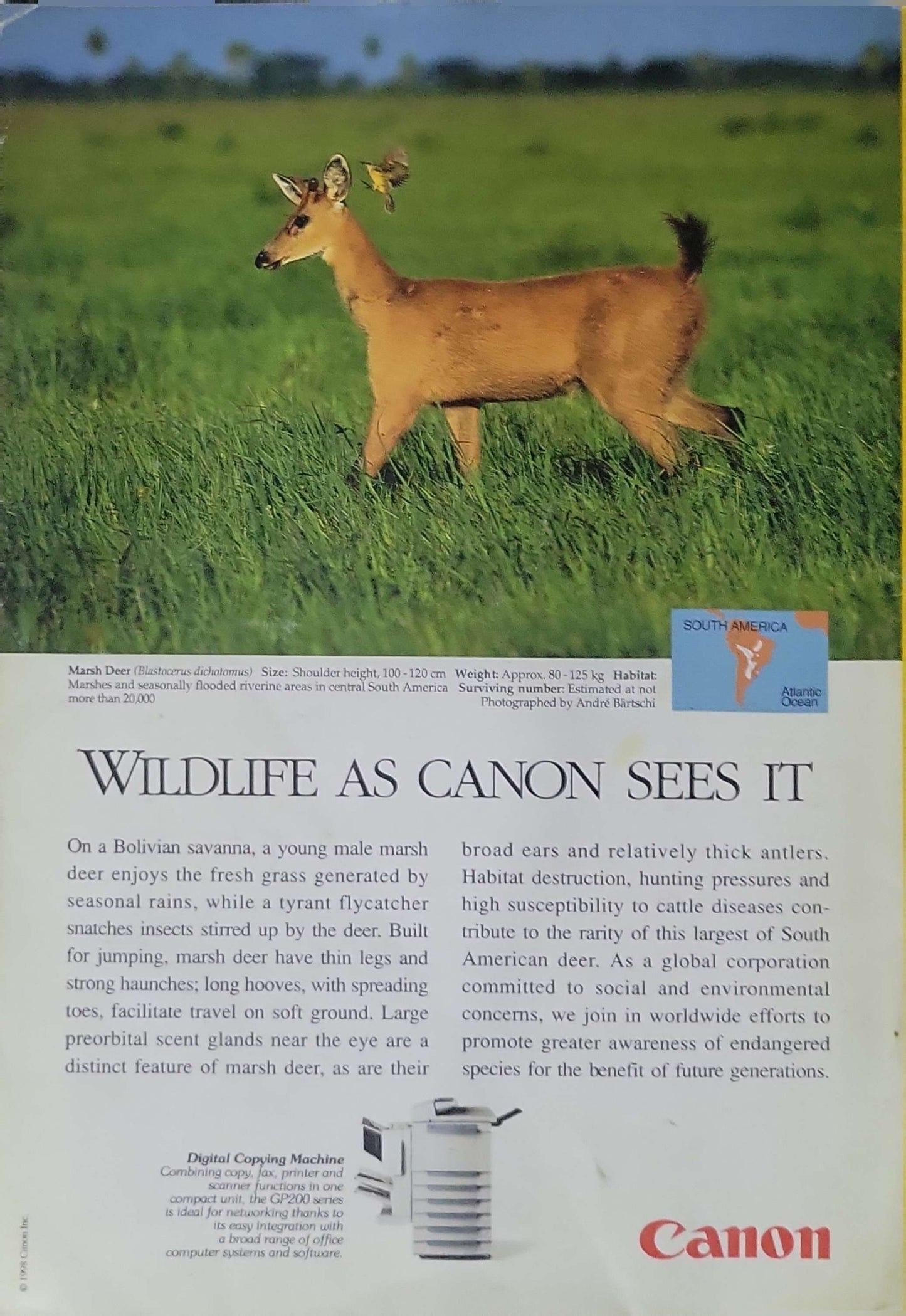National Geographic (1998): Volume 194, No. 3 — September 1998 By National Geographic Society and William L. Allen