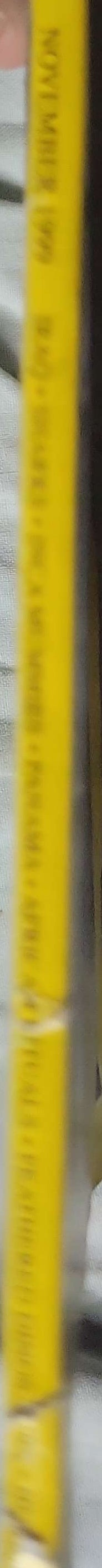 National Geographic (1999): November 1999 — Vol. 196, No. 5