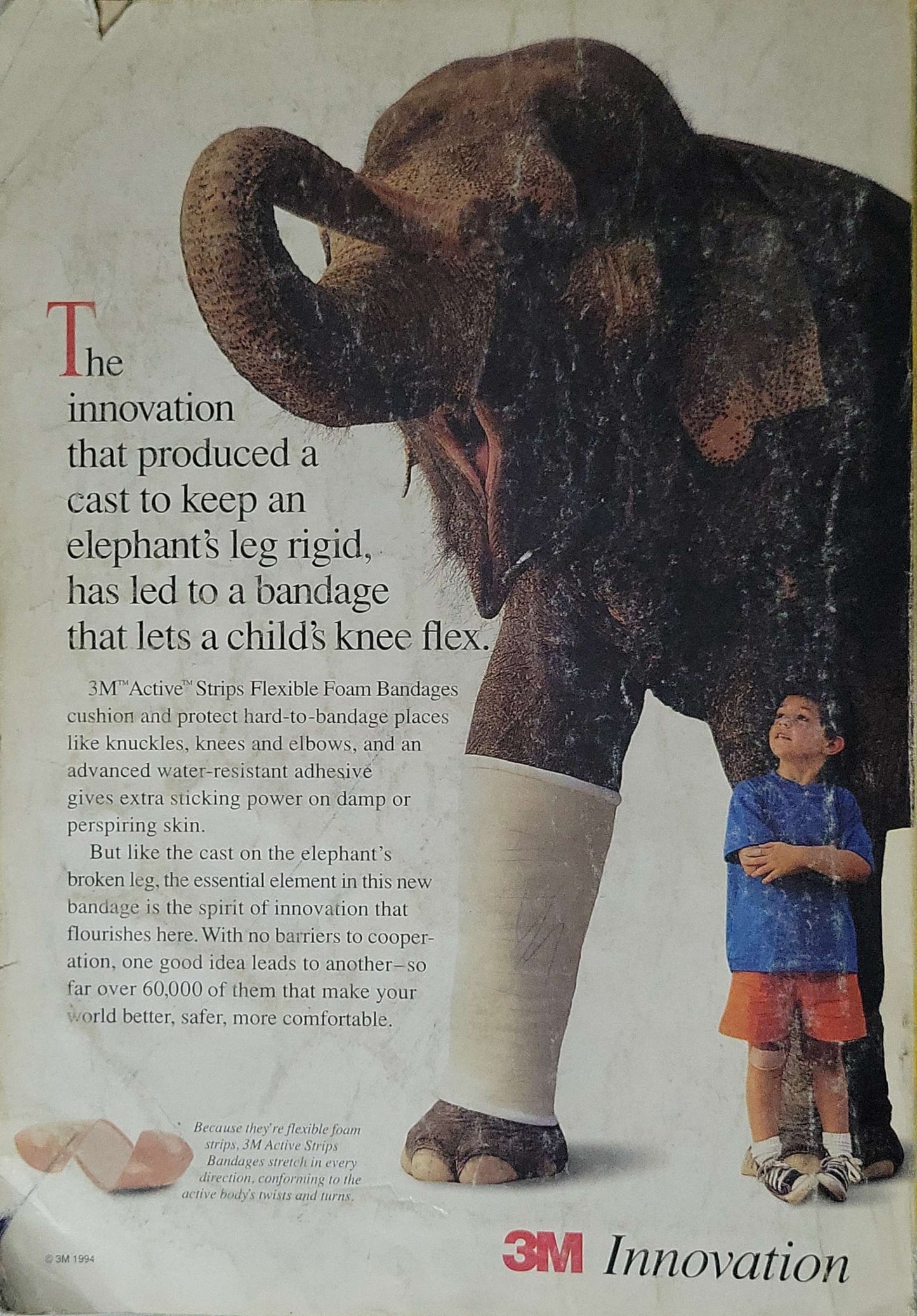 National Geographic (1995): February 1995, Vol. 187, No. 2