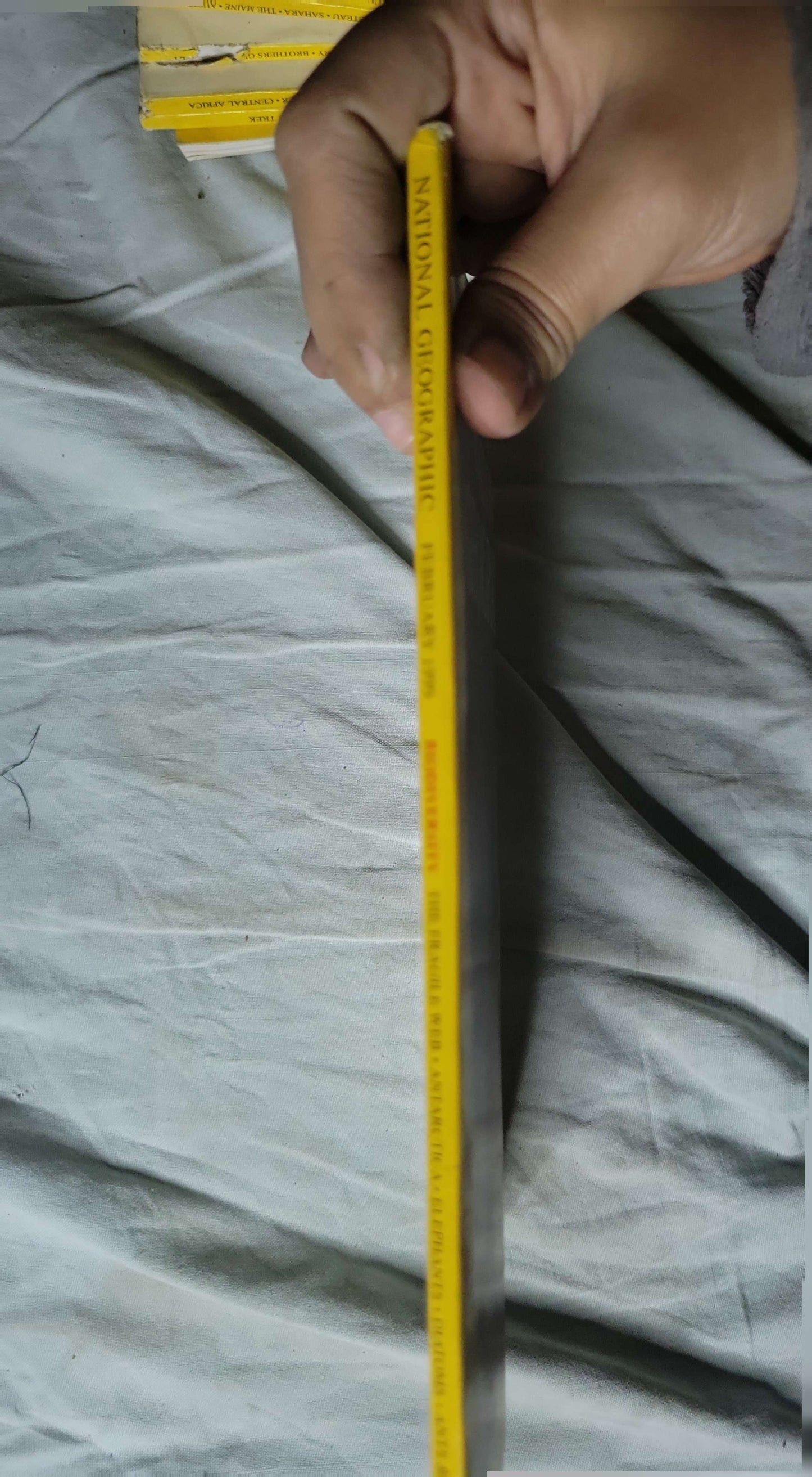 National Geographic (1999): Vol. 195, No. 2 — February 1999; Millennium Supplement: Biodiversity ("The Fragile Web") By National Geographic Society