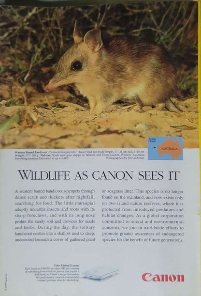 National Geographic (1999): Vol. 195, No. 2 — February 1999; Millennium Supplement: Biodiversity ("The Fragile Web") By National Geographic Society
