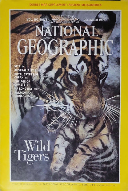 National Geographic — Wild Tigers (1997): Vol. 192, No. 6 (December 1997) By Geoffrey C. Ward and Michael Nichols (photographer)