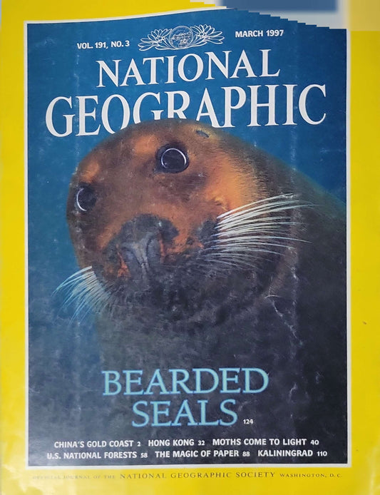 National Geographic: Bearded Seals (1997): March 1997 — Vol. 191, No. 3 By Kit Kovacs and Flip Nicklin