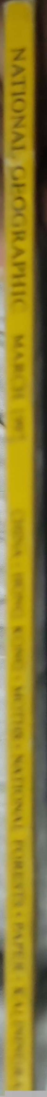 National Geographic: Bearded Seals (1997): March 1997 — Vol. 191, No. 3 By Kit Kovacs and Flip Nicklin