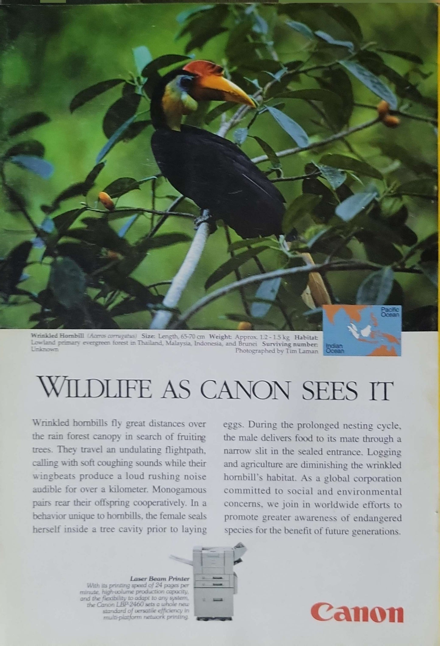 National Geographic: Planet of the Beetles (1998): Vol. 193, No. 3 — March 1998 By National Geographic Society