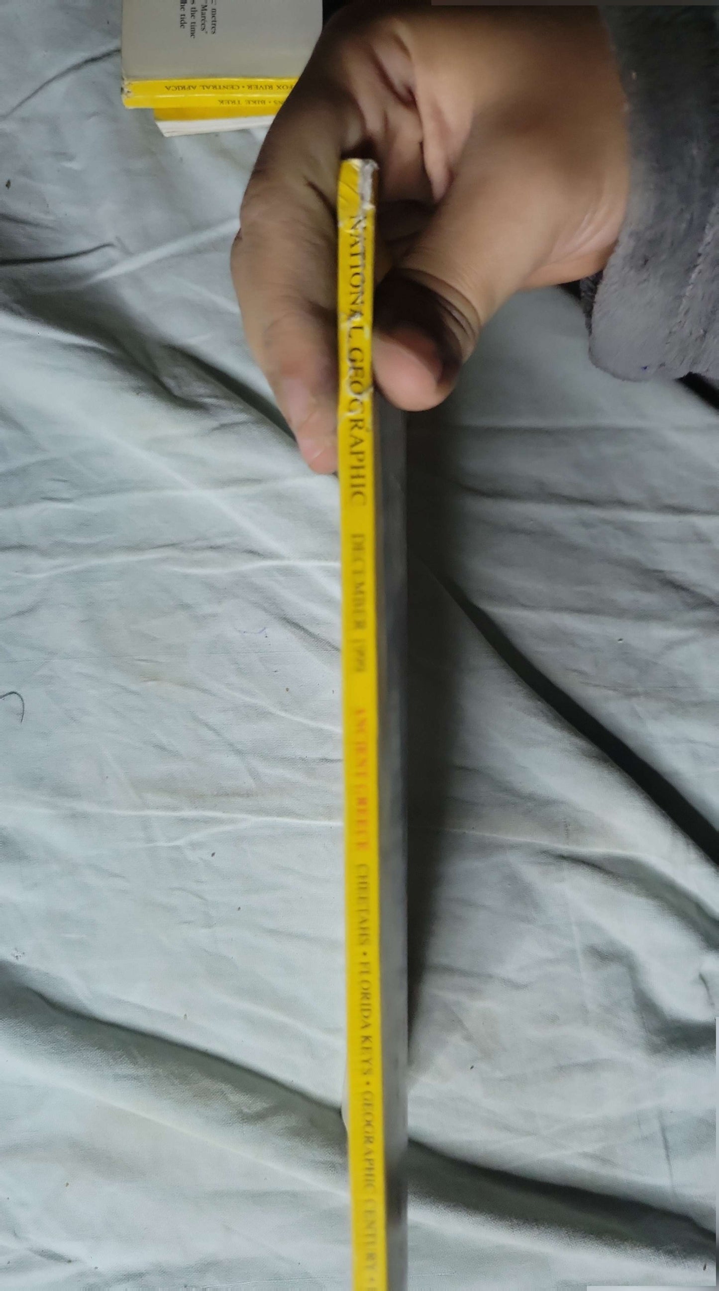 National Geographic (December 1999): Vol. 196, No. 6 — December 1999