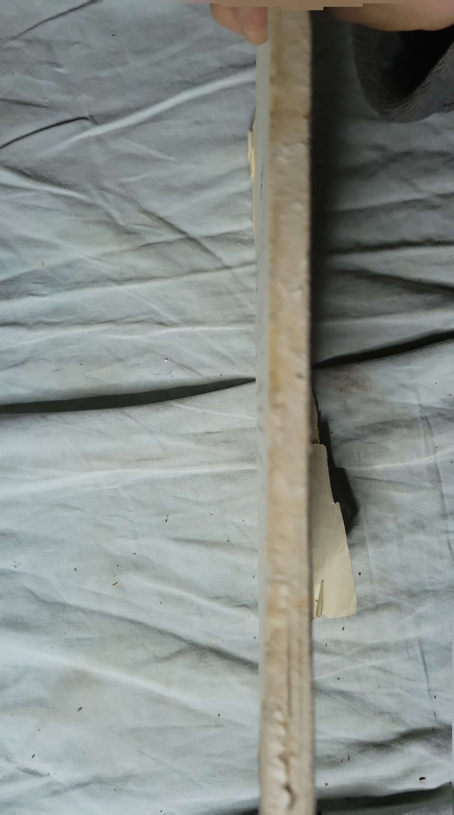 متخير الألفاظ لأبو الحسين أحمد بن فارس