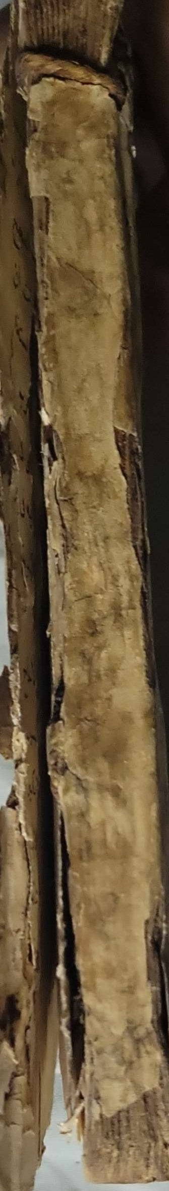 الأجواد الكثيرة — (1912): الطبعة الثانية By أحمد خضر