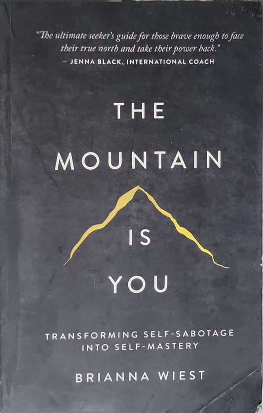 The Mountain Is You (2020): Transforming Self-Sabotage Into Self-Mastery By Brianna Wiest