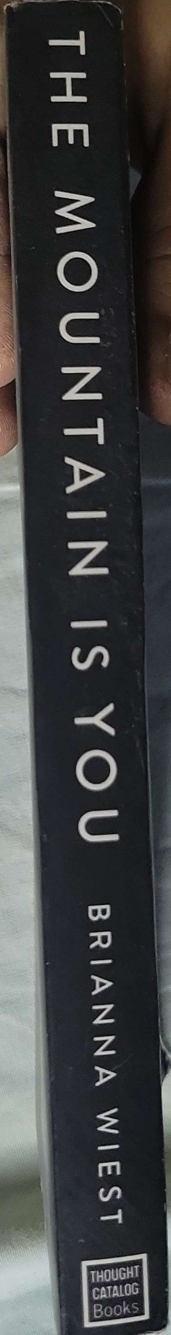 The Mountain Is You (2020): Transforming Self-Sabotage Into Self-Mastery By Brianna Wiest