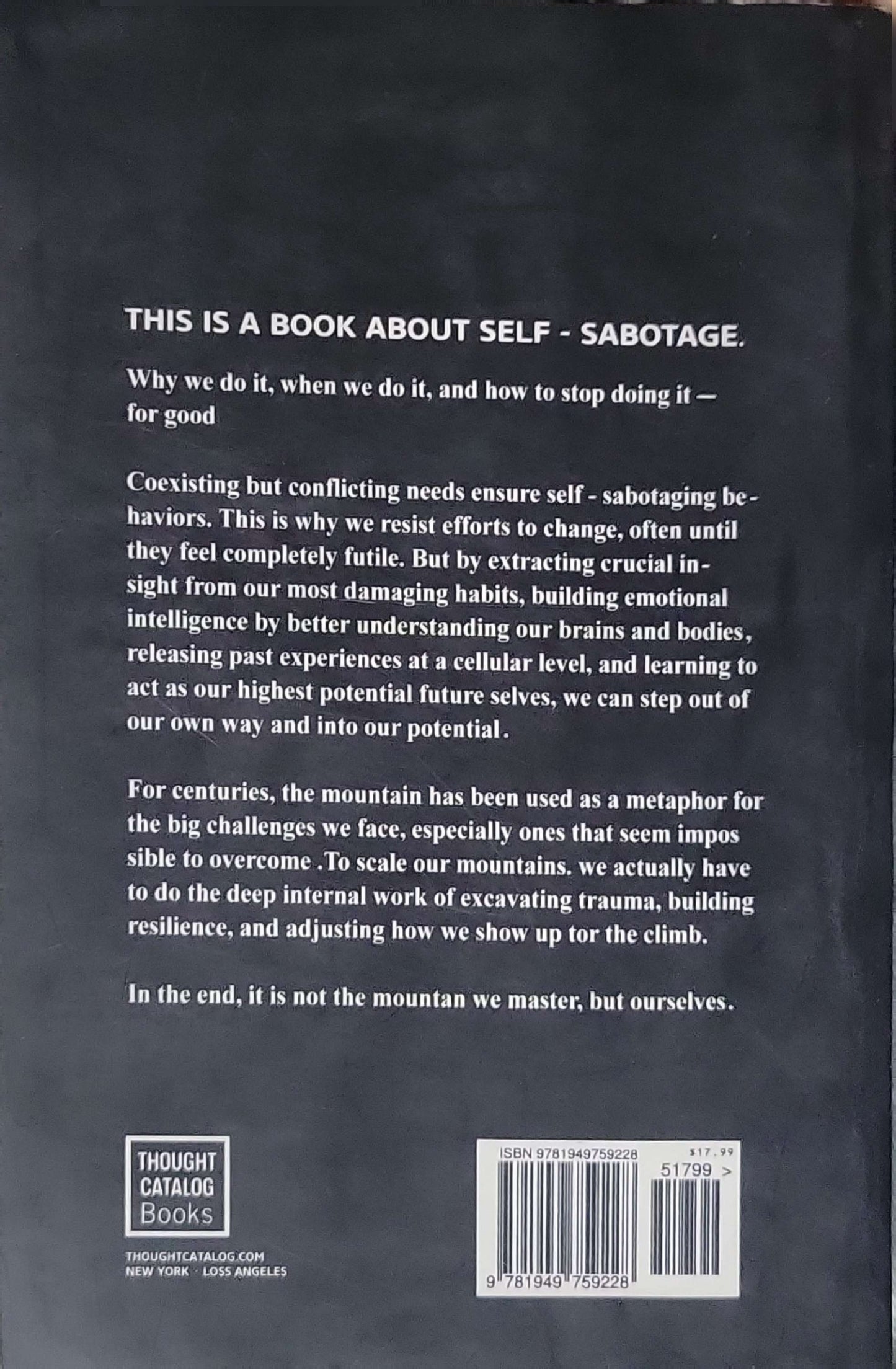 The Mountain Is You (2020): Transforming Self-Sabotage Into Self-Mastery By Brianna Wiest