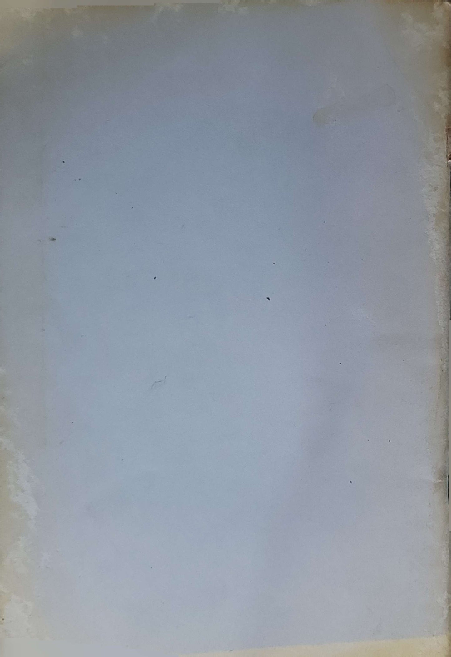 Guide to the Department of Economics (Academic Year 1980/81): Academic Year 1980/81