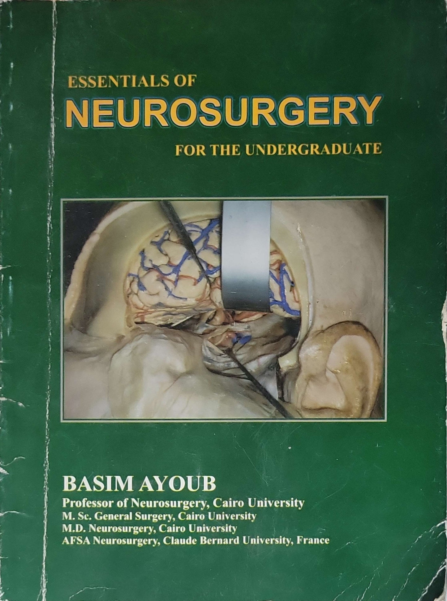 Essentials of Neurosurgery: For the Undergraduate By Basim Ayoub