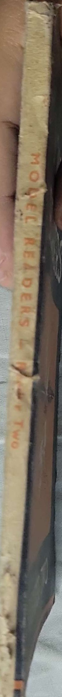 Model Readers: Reader Two