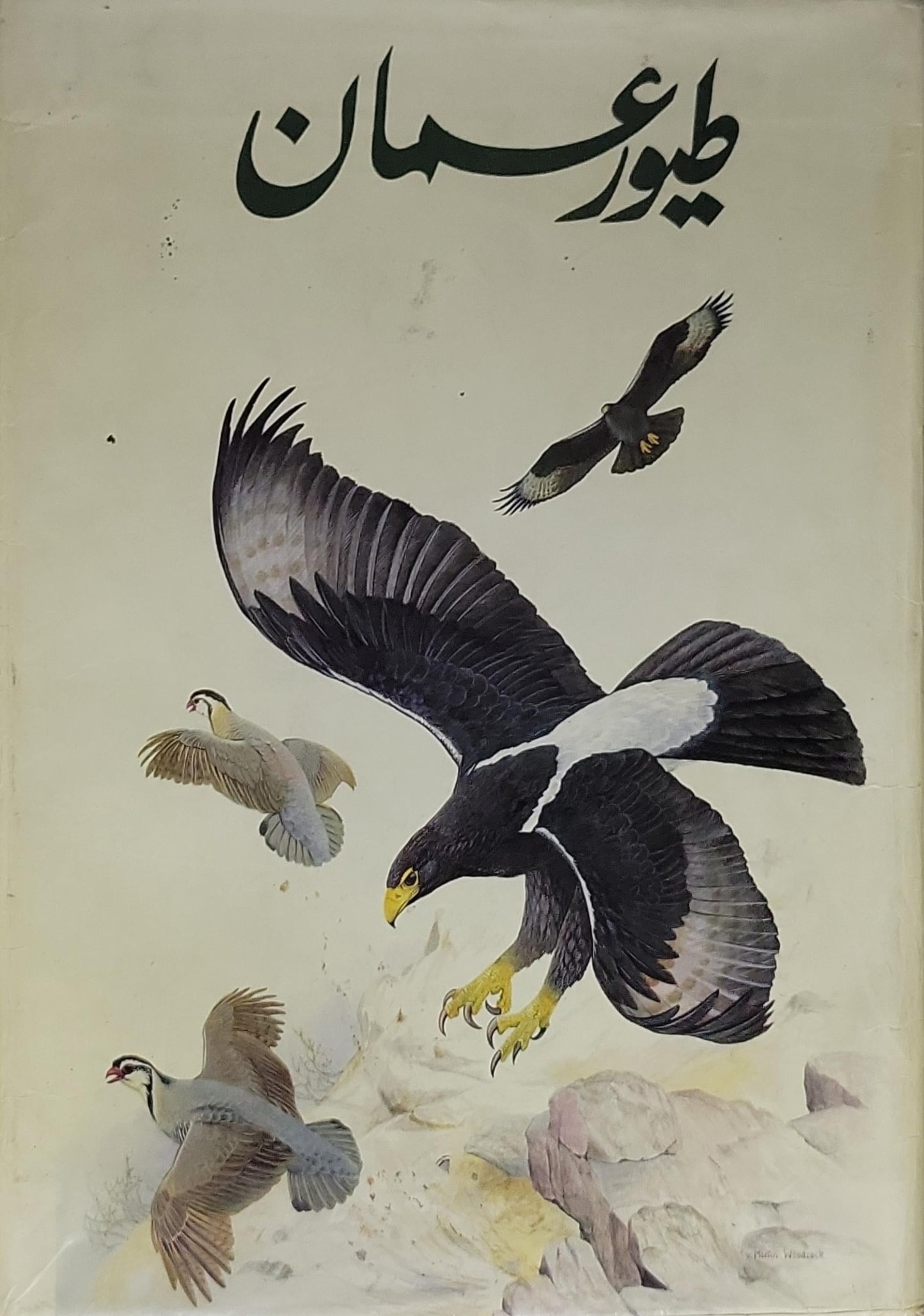 طيور عمان