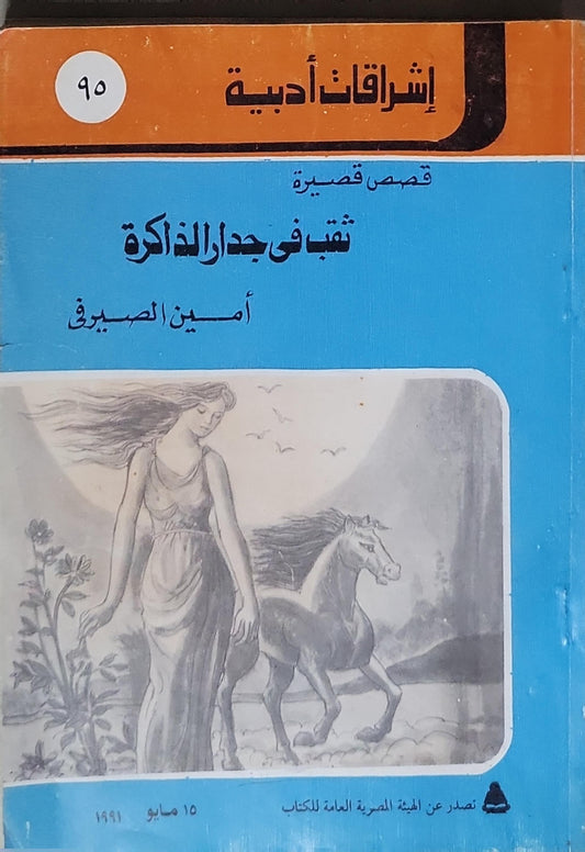 ثقباً في جدار الذاكرة: قصص قصيرة - أمين الصيرفي