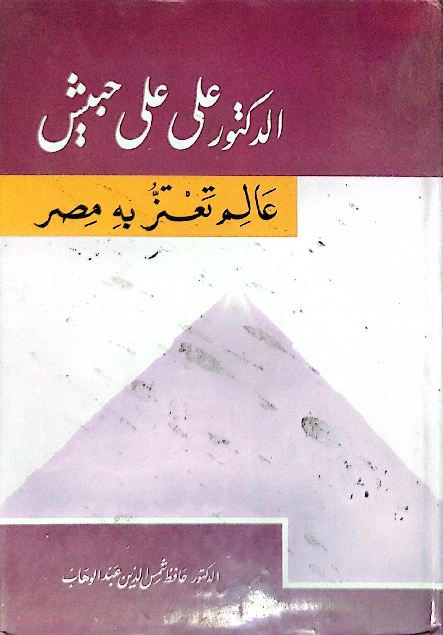 الدكتور علي علي حبش: عالم تعتزّ به مصر - الدكتور حافظ شمس الدين عبد الوهاب
