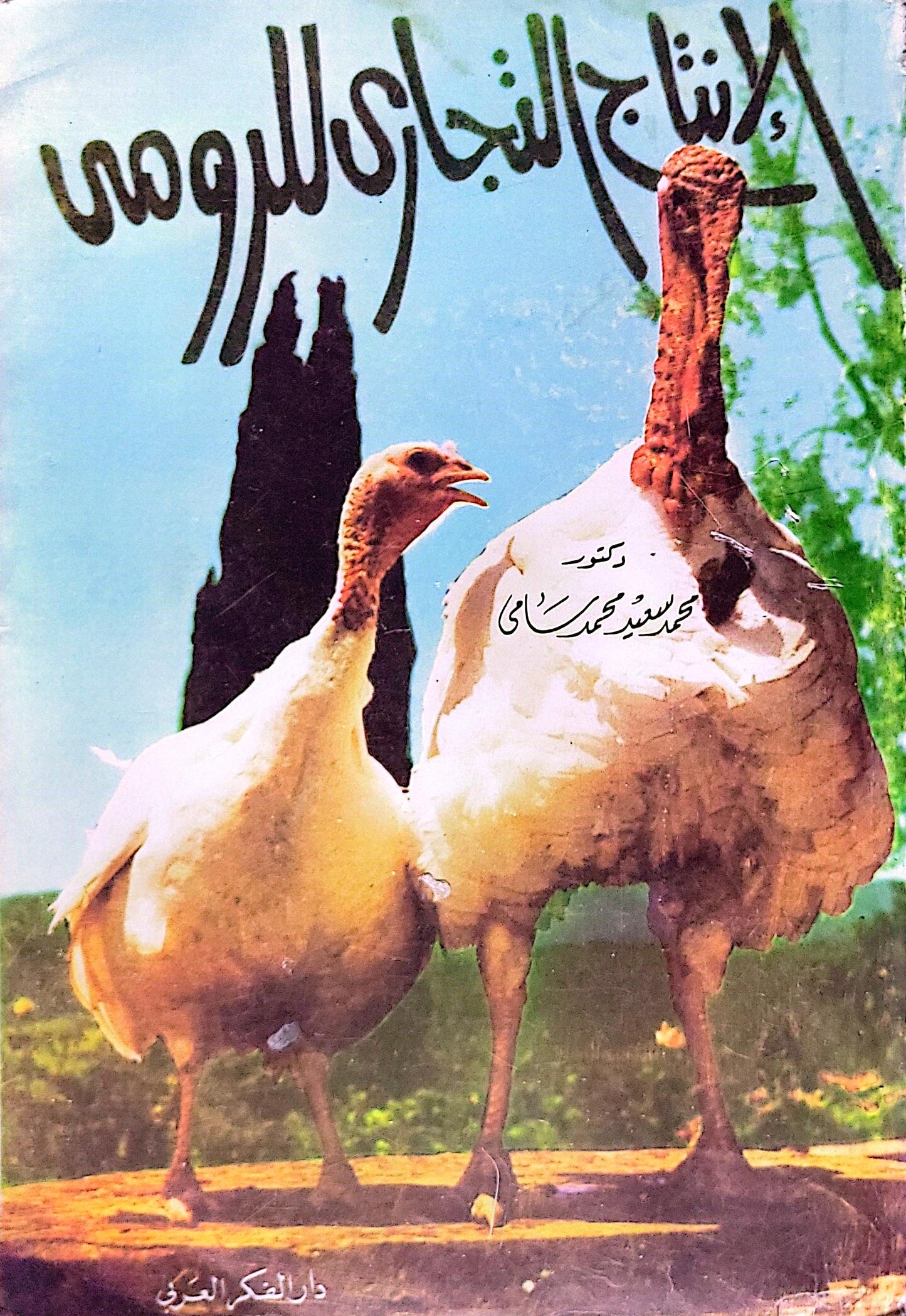 إنتاج الدجاج الرومي - محمد سعيد محمد راضي