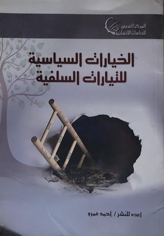 الخيارات السياسية للتيارات السلفية - أحمد عمرو