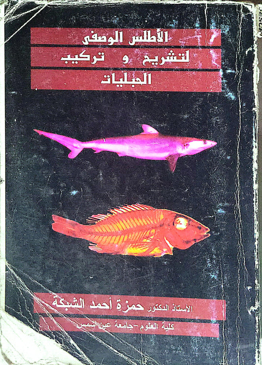 الأطلس الوصفي لتشريح و تركيب الحبليات - حمزة أحمد الشبكة