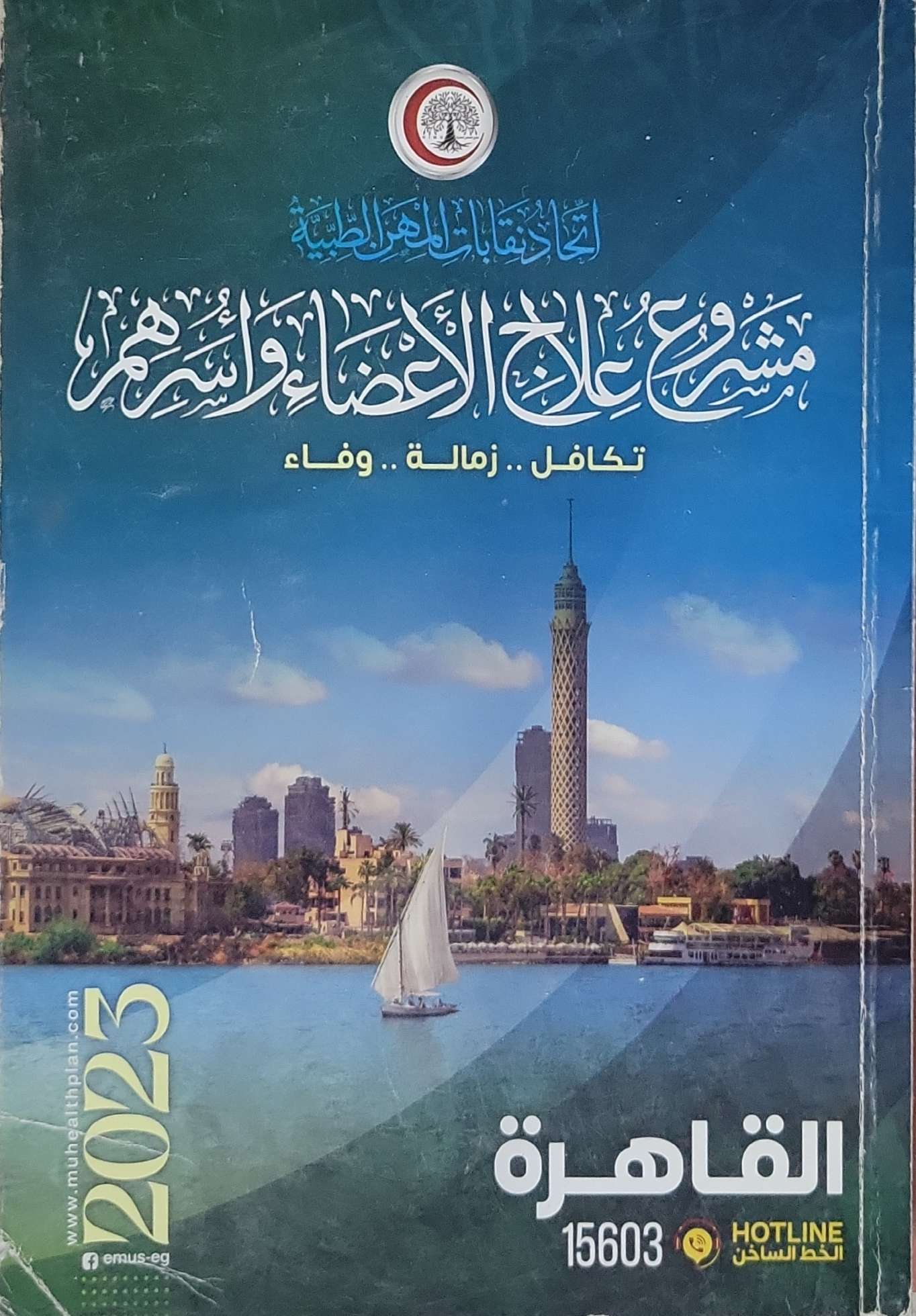 مشروع علاج الأطباء وأسرهم: القاهرة 2023