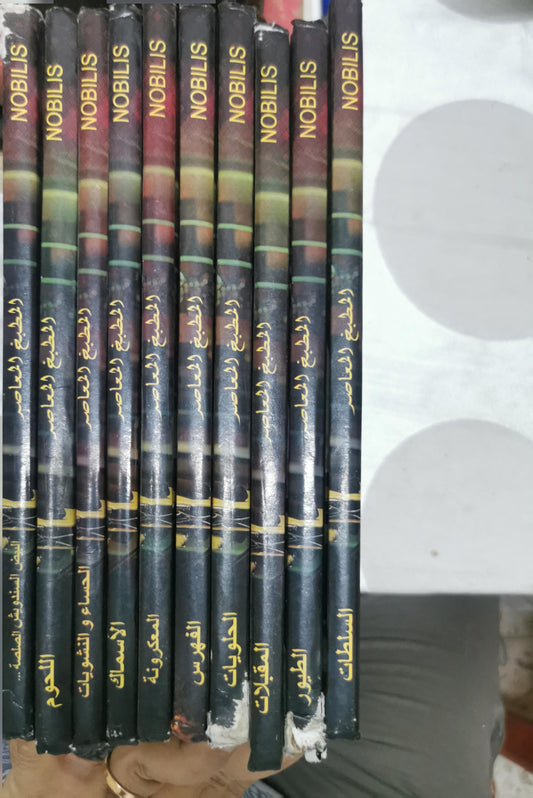 المطبخ المعاصر