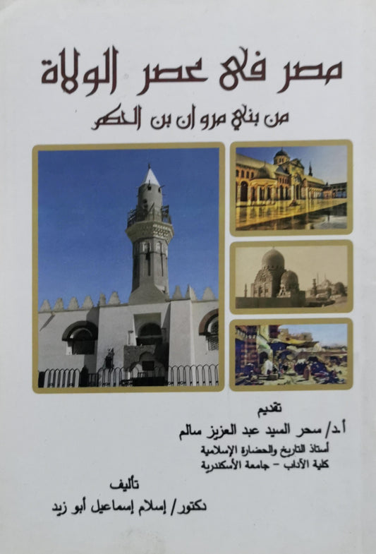 مصر في عصر الولاة: من بني مروان بن الحكم - إسلام إسماعيل أبو زيد