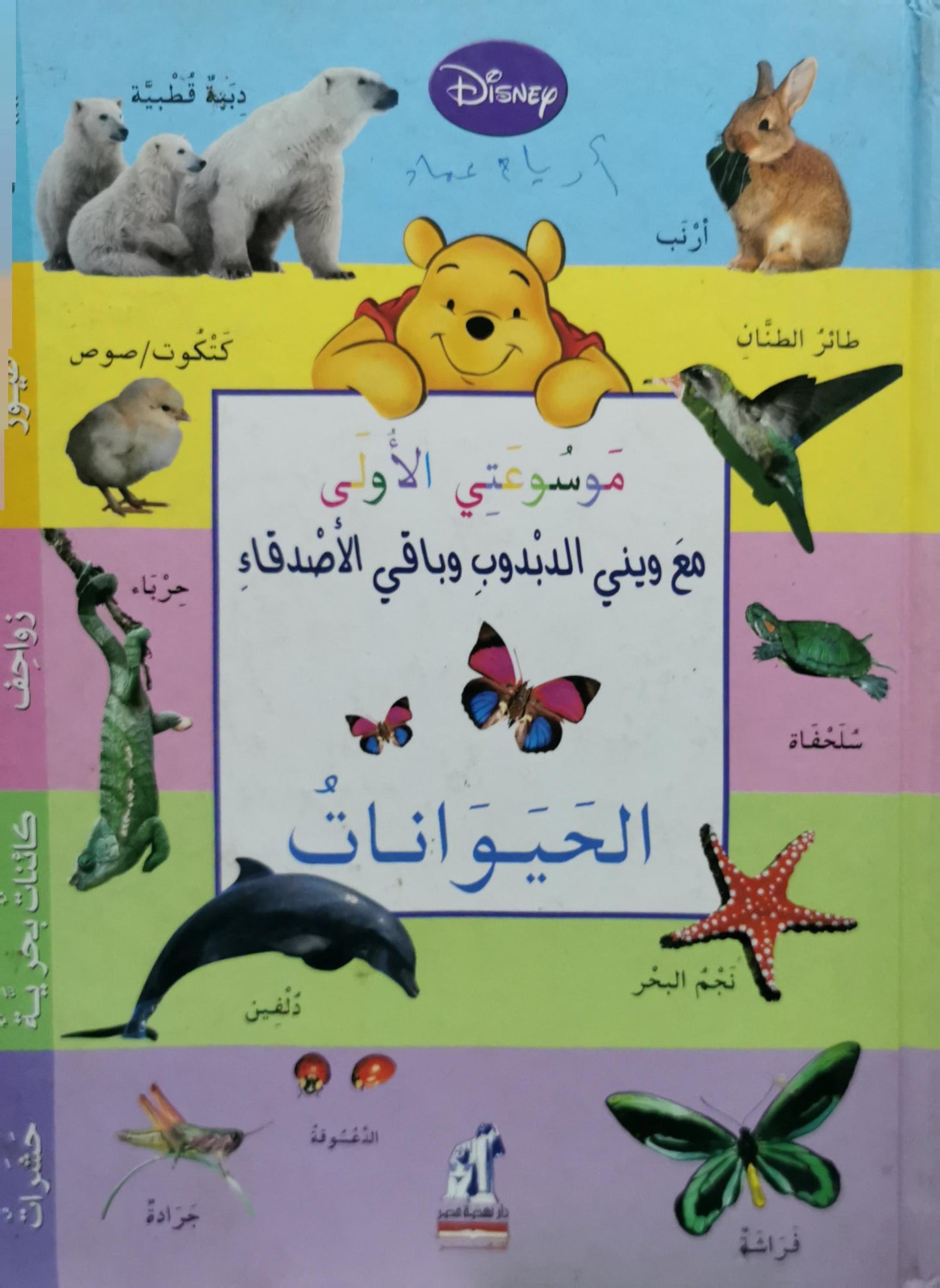 الحيوانات: موسوعتي الأولى مع ويني الدبدوب وباقي الأصدقاء
