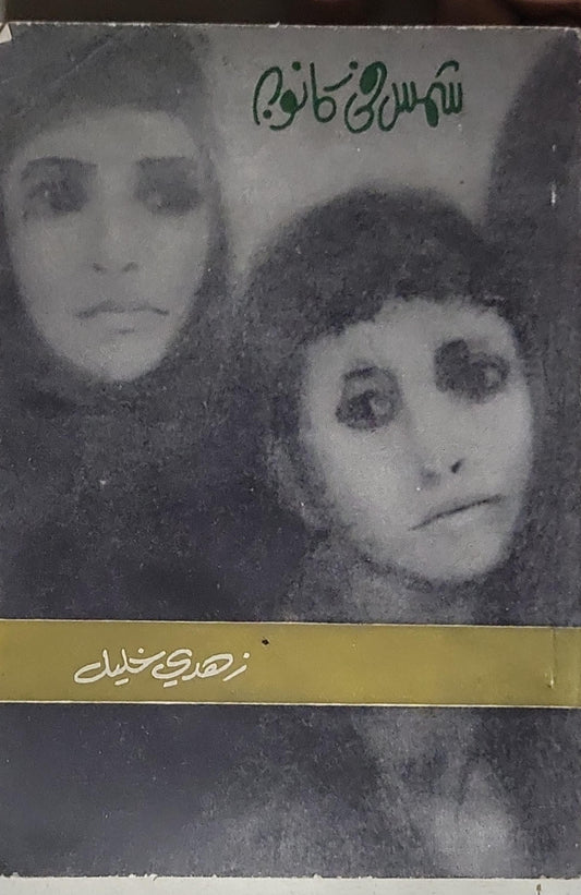شمس في كانون - زهدي خليل