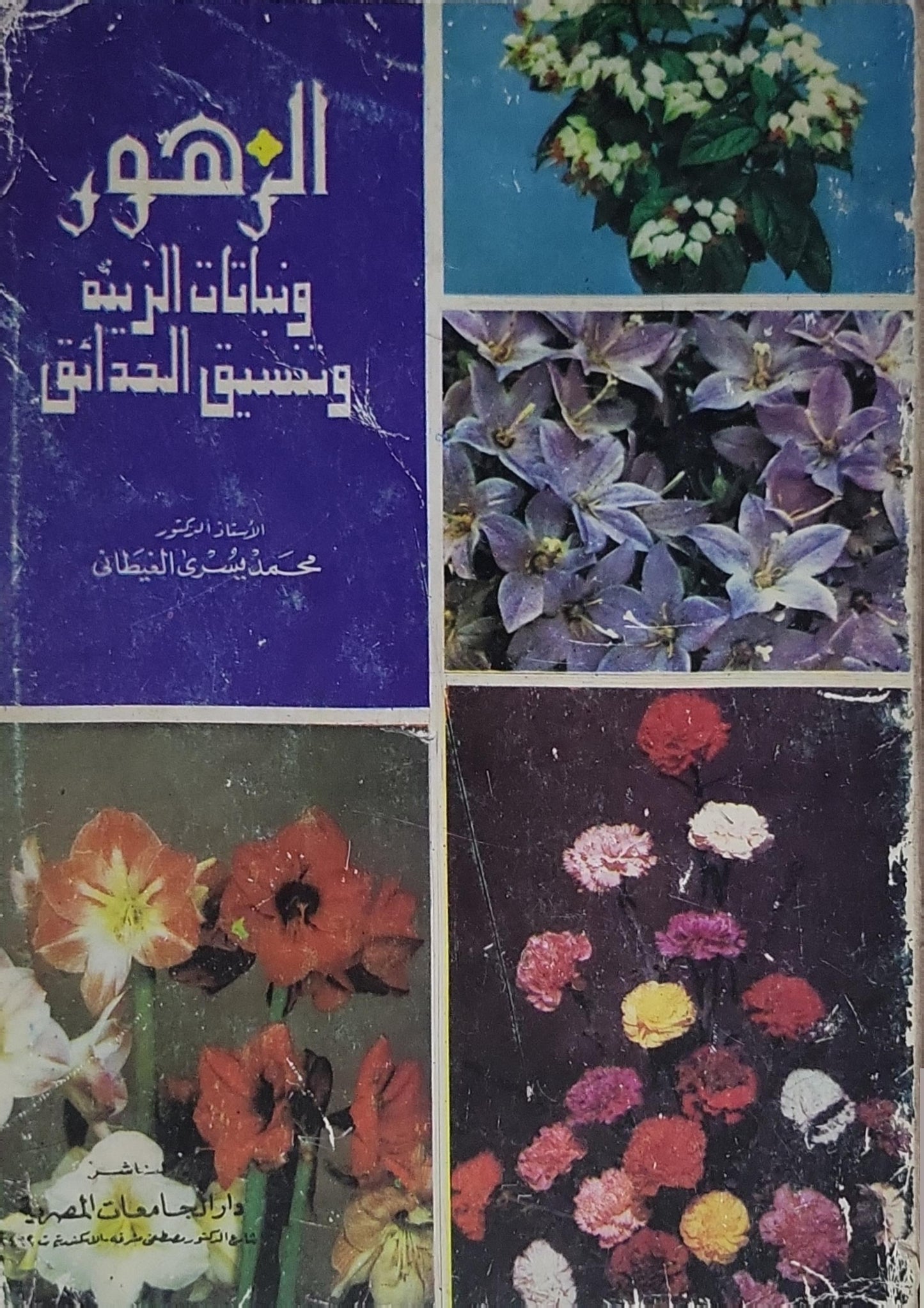 الزهور ونباتات الزينة وتنسيق الحدائق