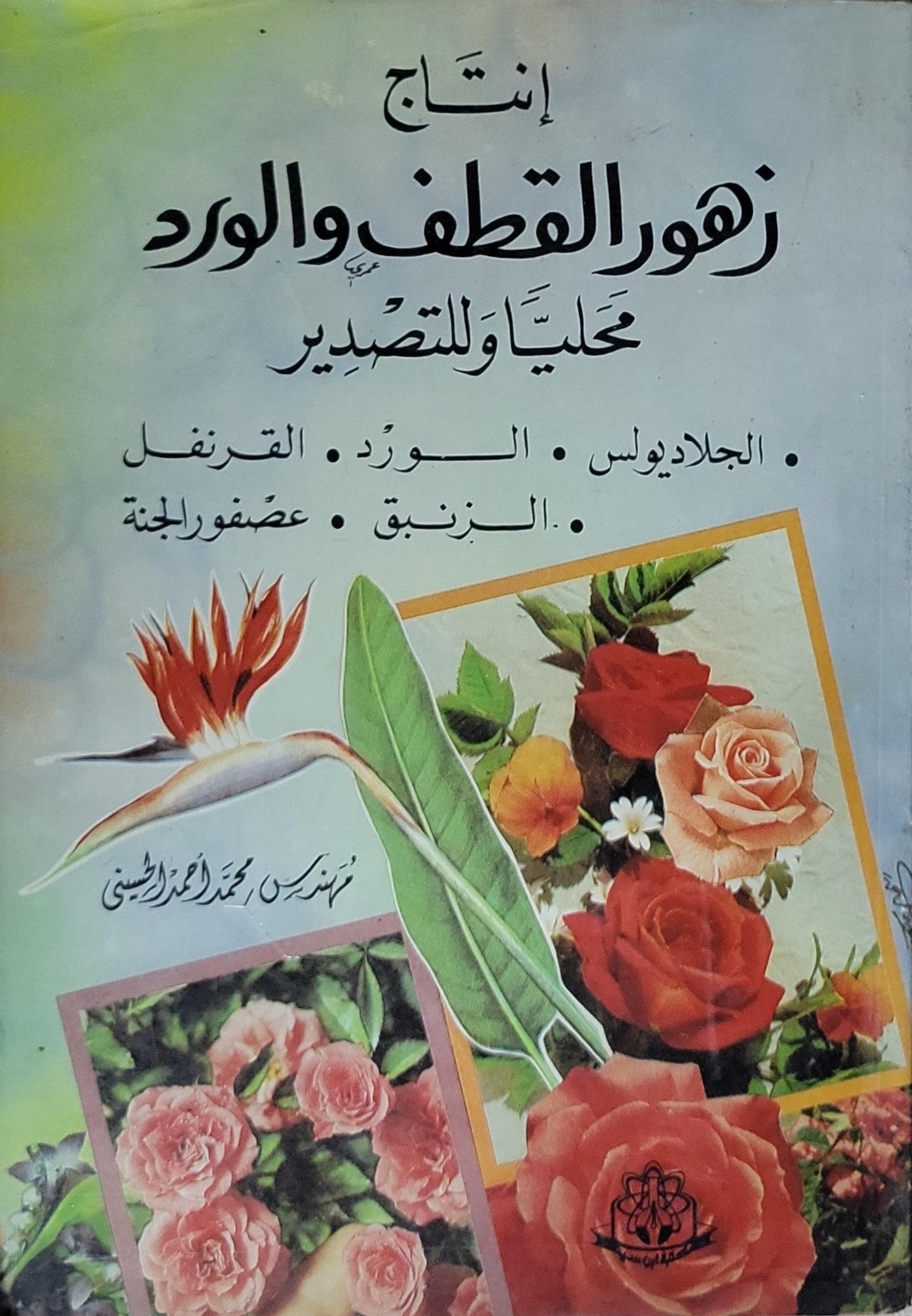 إنتاج زهور القطف والورد محلياً وللتصدير - محمد أحمد الحسيني
