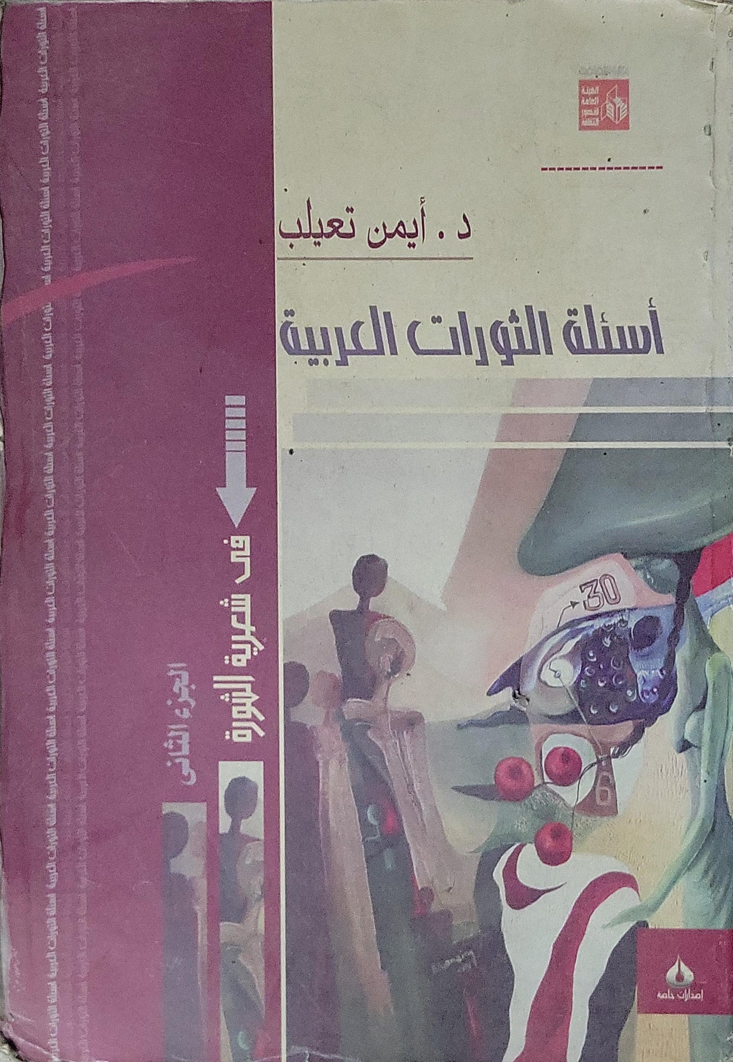 أسئلة الثورات العربية: فى شعرية الثورة - الجزء الثانى - د. أيمن تعيلب
