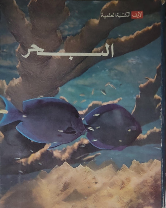 البحر
