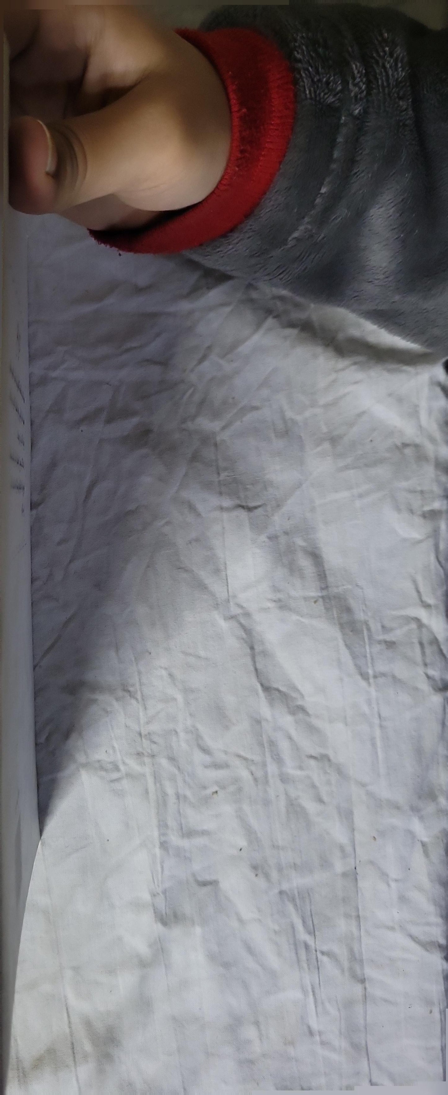 وحي القلم: الجزء الثاني - مصطفى صادق الرافعي