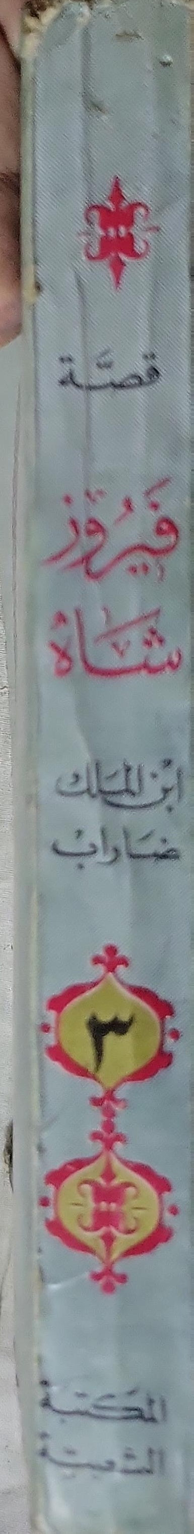 قصة فيروز شاه: ابن الملك ضارب