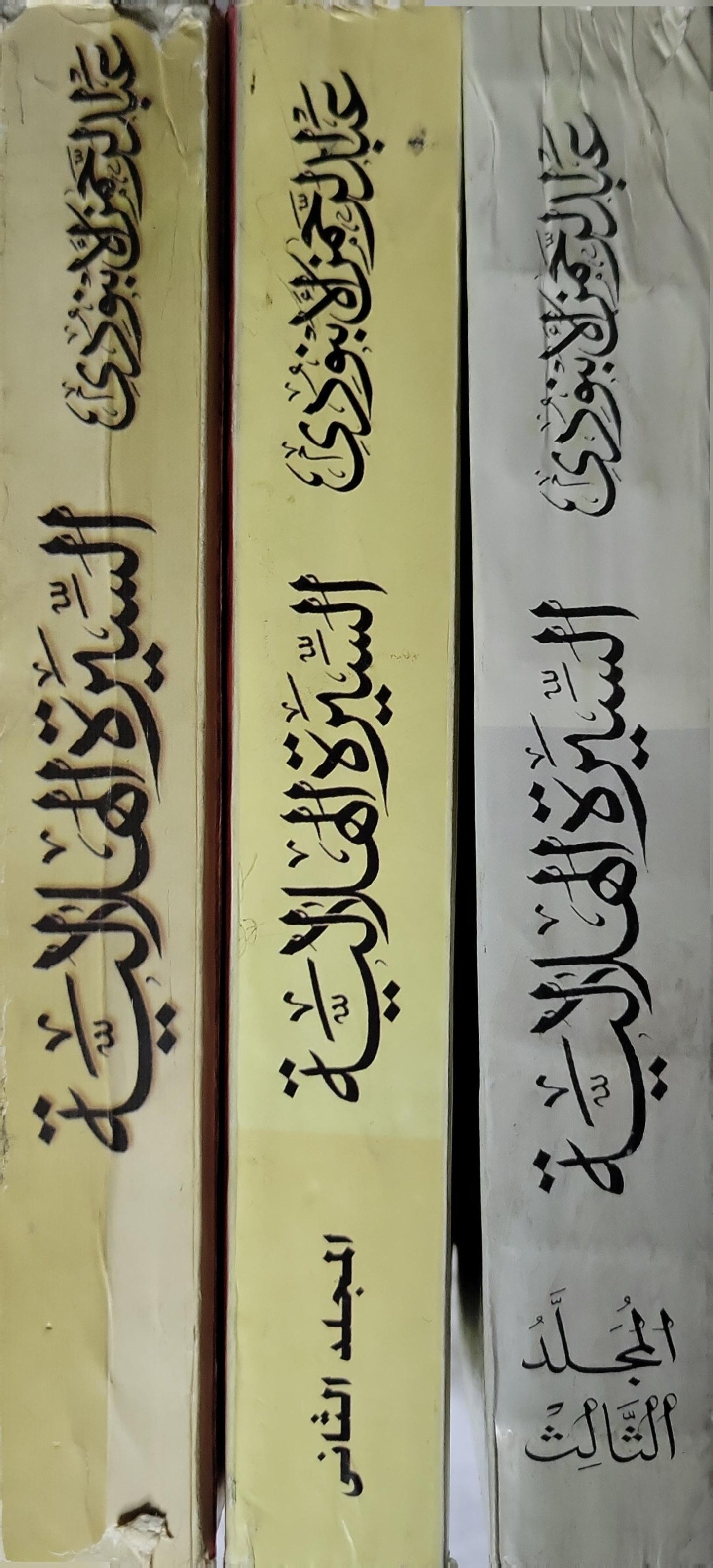 السيرة الهلالية (2002): مكتبة الأسرة – مهرجان القراءة للجميع: الأعمال الإبداعية - عبد الرحمن الأبنودي