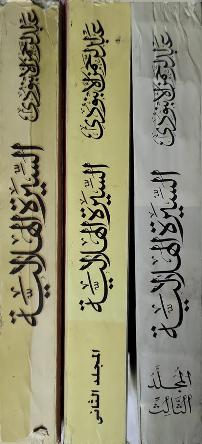 السيرة الهلالية (2002): مكتبة الأسرة – مهرجان القراءة للجميع: الأعمال الإبداعية - عبد الرحمن الأبنودي