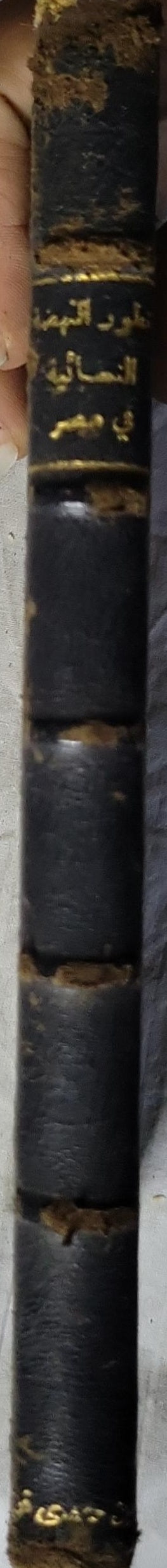 تطور الصحافة في مصر: من عهد محمد علي إلى عهد الفاروق - إبراهيم عبده - درية شفيق