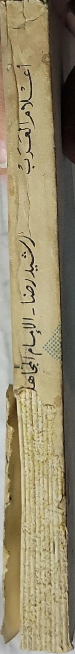 رشيد رضا: الإمام المجاهد - إبراهيم أحمد العدوي