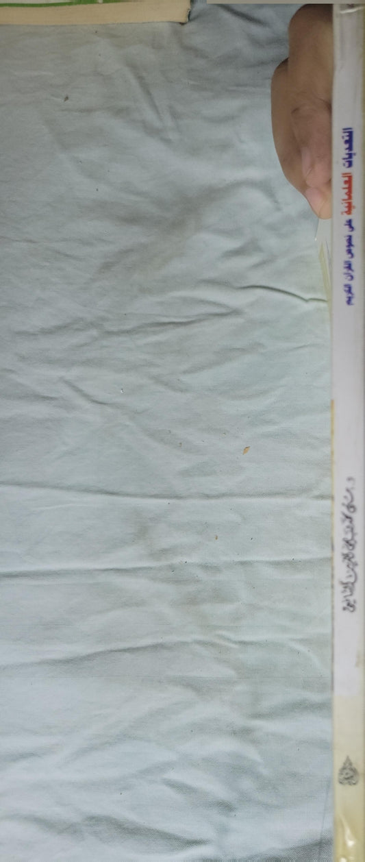 "التعديات العلمانية على نصوص القرآن الكريم"، وهو من إعداد الدكتورة منى محمد محيي الدين الشافعي