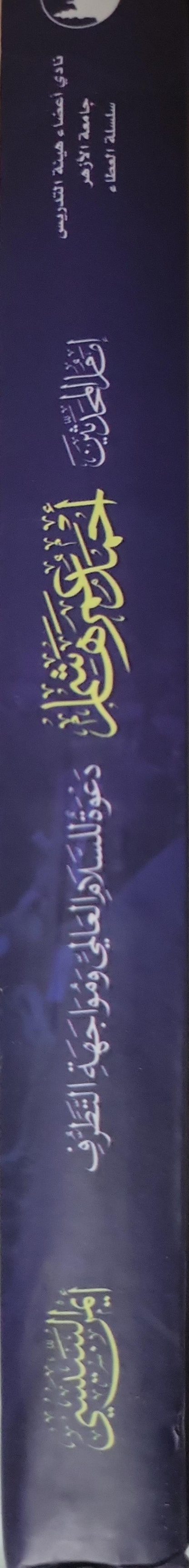 أحمد عمر هاشم: دعوة للسلام العالمي ومواجهة التطرف - أمير السبكي