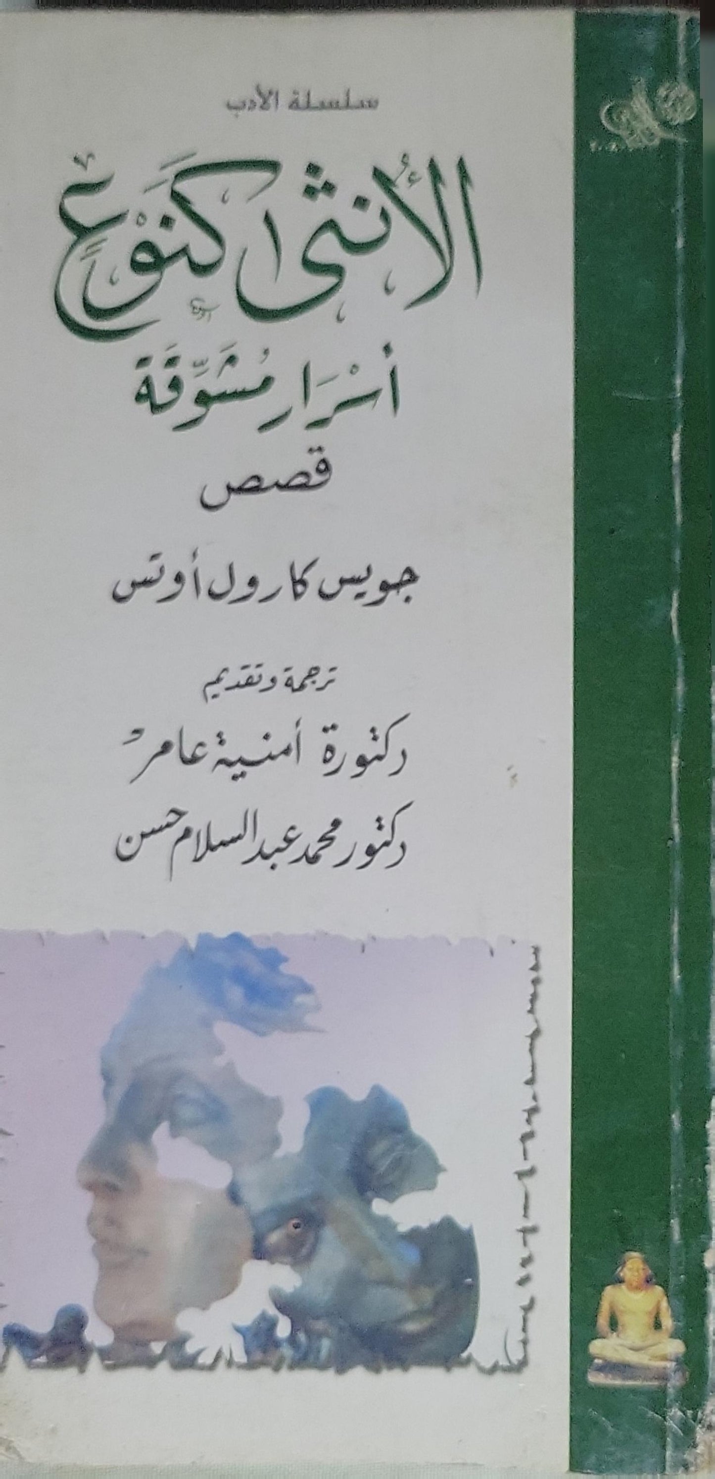 الأنثى كنوع: أسرار مشوّقة: قصص - جويس كارول أوتس - أمنية عامر - محمد عبد السلام حسن