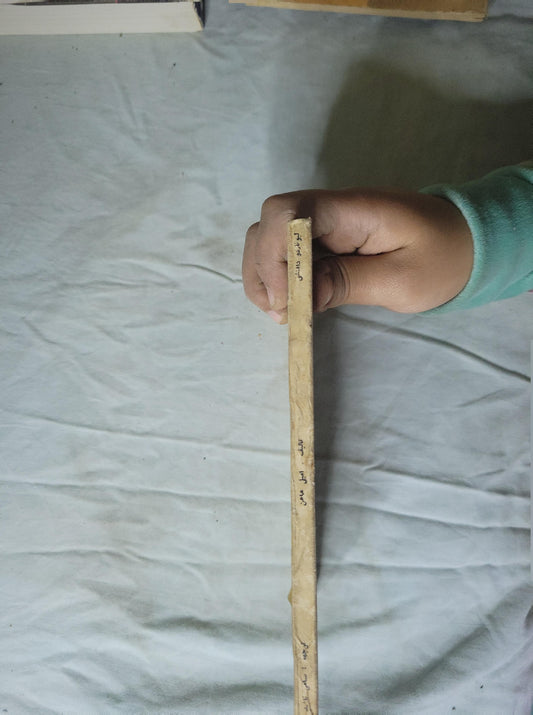 - إميلي هاهن - ليوناردو دافنشى