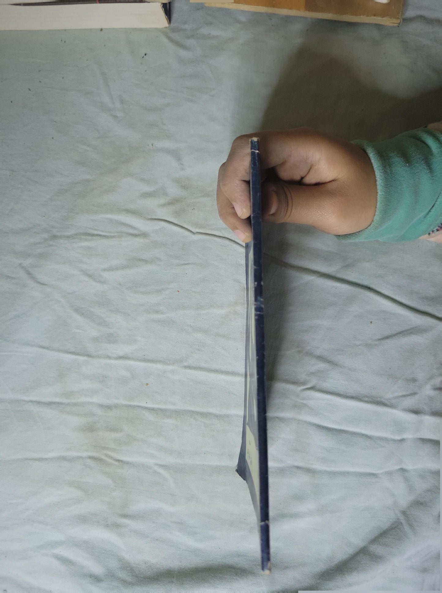 - فاتن النواوي احلام الطمى والفخار